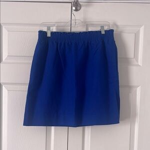 J. Crew Blue Women's Skirt